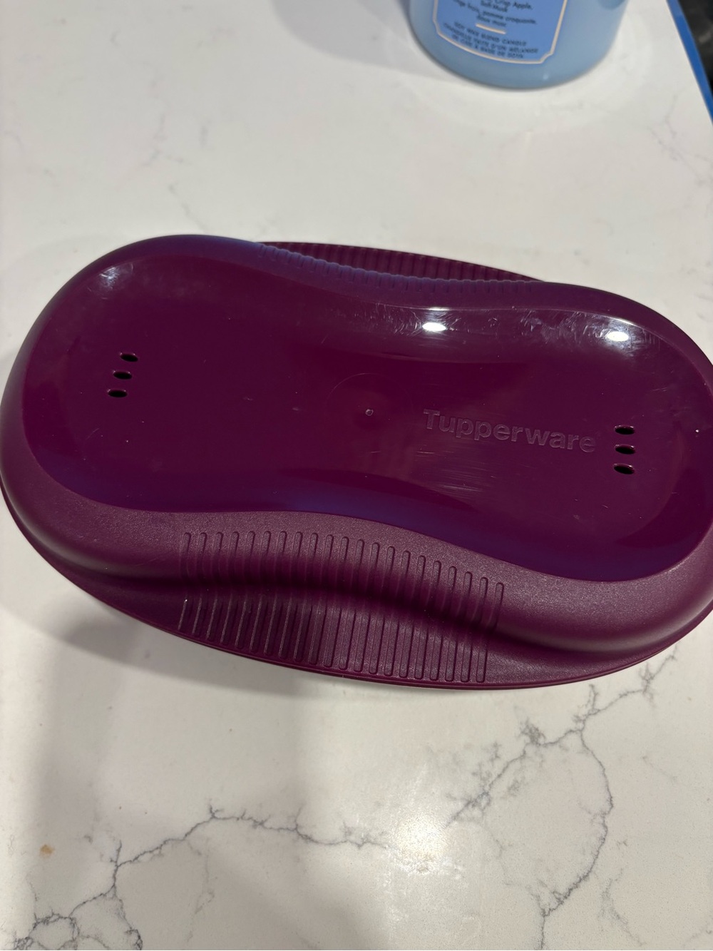 Tupperware Deep Plum Venting Snack Keeper